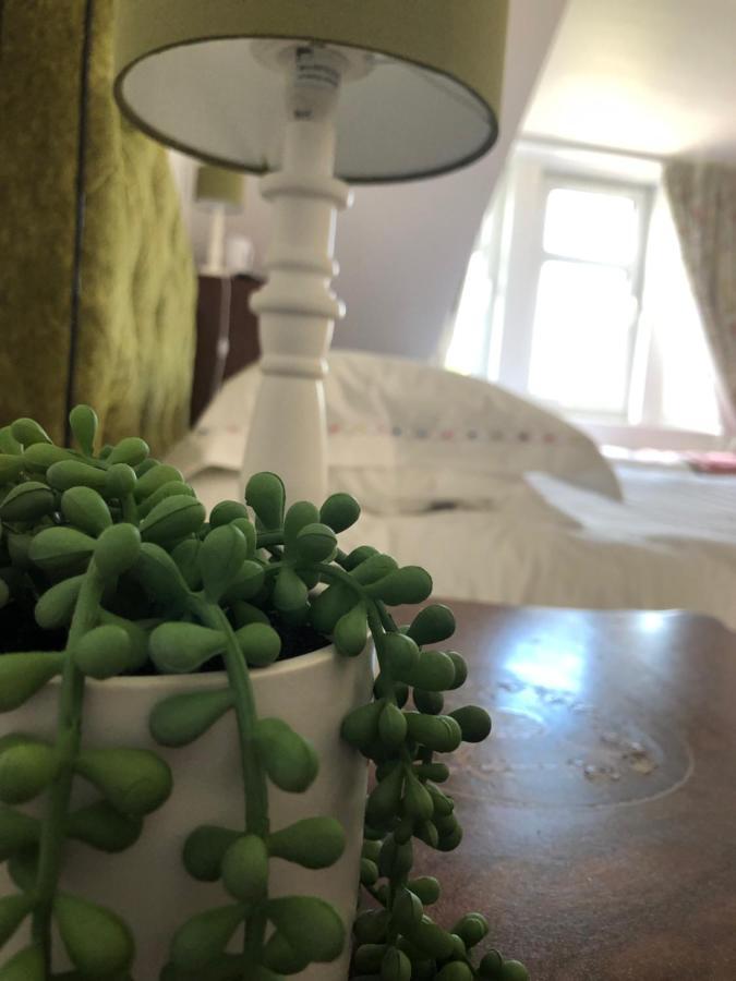 Oleanders BnB Edinburg Exteriör bild
